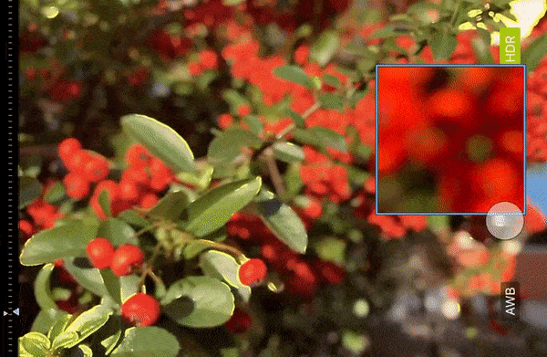 FocusPeaking_ProCamera_Gif_Preview