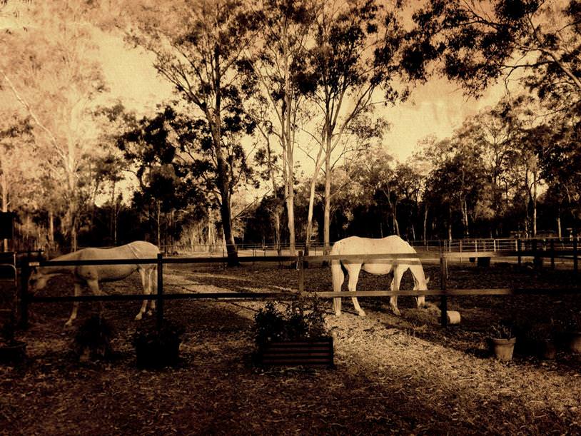 ProCamera ProFX Filter Example