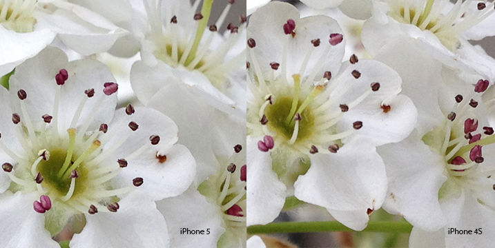 01_crop comparison iPhone 5 vs iPhone 4S image comparison, 100% crop iPhone 5, iPhone 5 photo quality