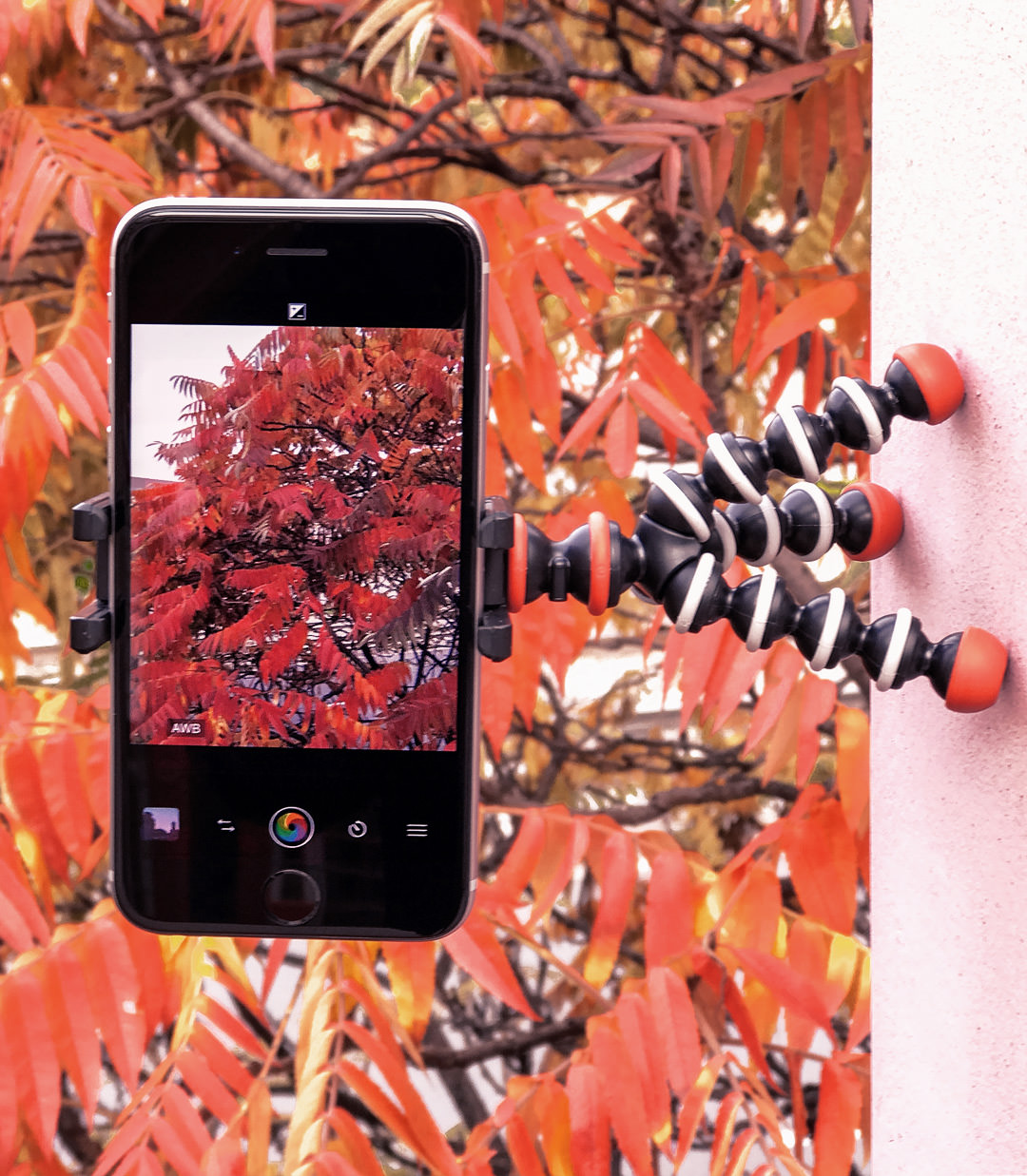 161027_joby_gorillapod_outdoor_img_0365b