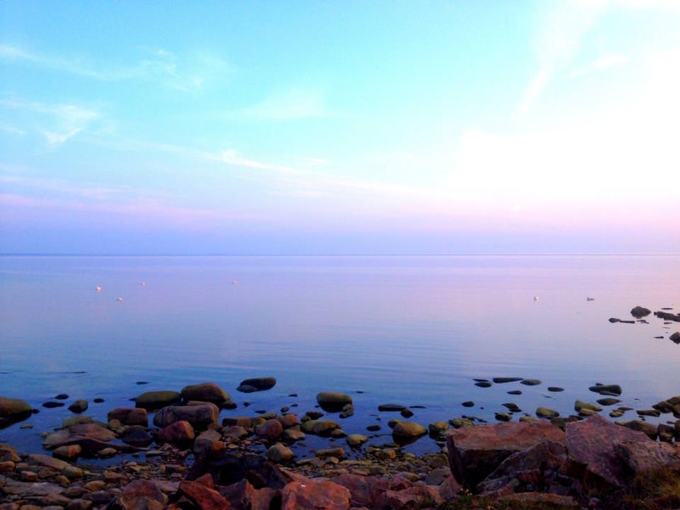 199004_483230558410526_1636301479_n