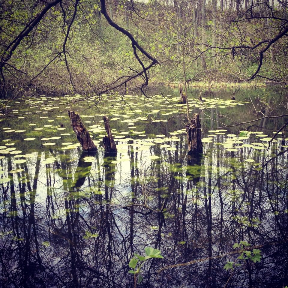 249107_485085928224989_1239209967_n