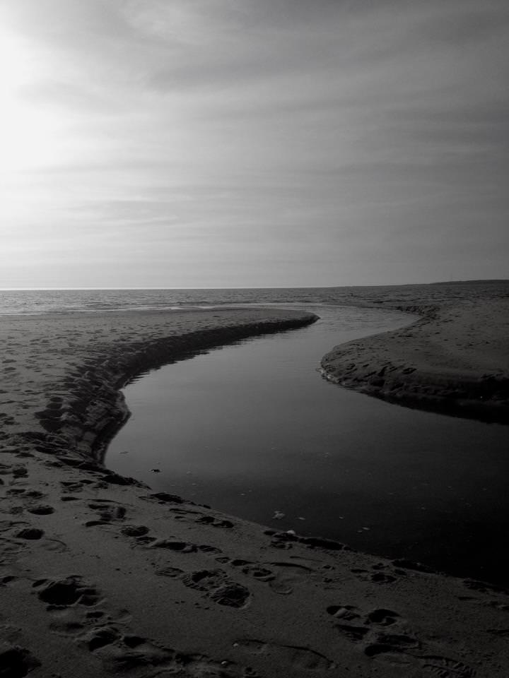 420621_483230575077191_1174019661_n