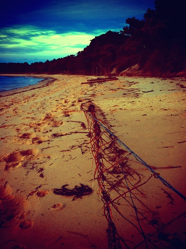iPhone Project 365: Day 123: After the Storm, Bundeena
