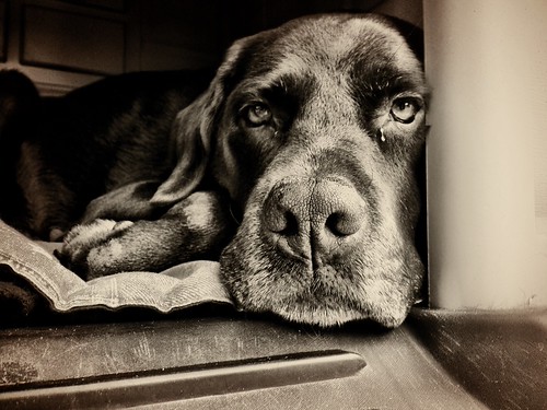 Lazy Sunday Afternoons