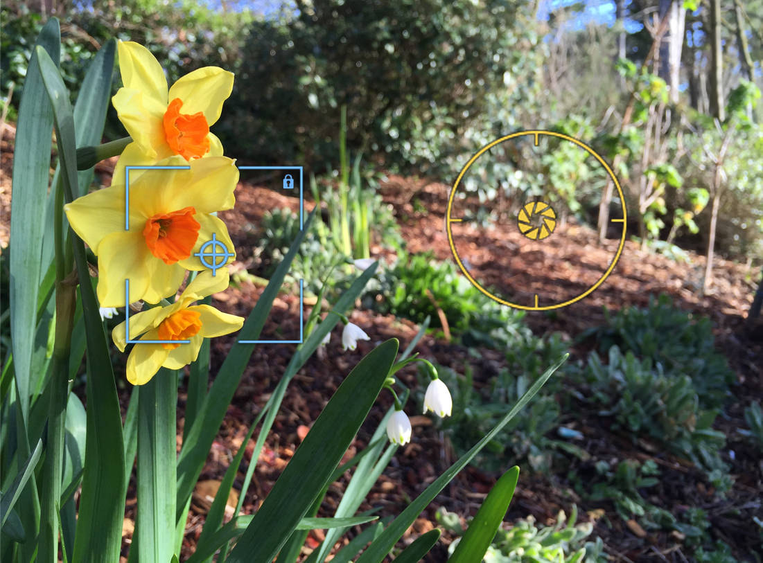 auto focus on foreground2_landscape