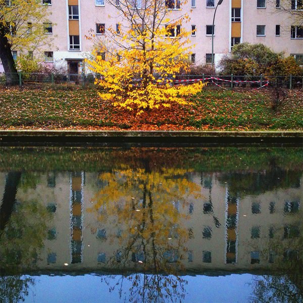Symmetry and a splash of colour are the focus in this photo.