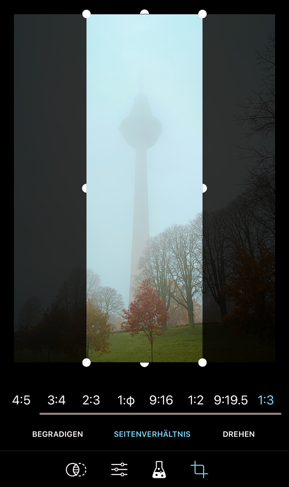 ProCamera 3x1 Crop Cut Studio Screenshot