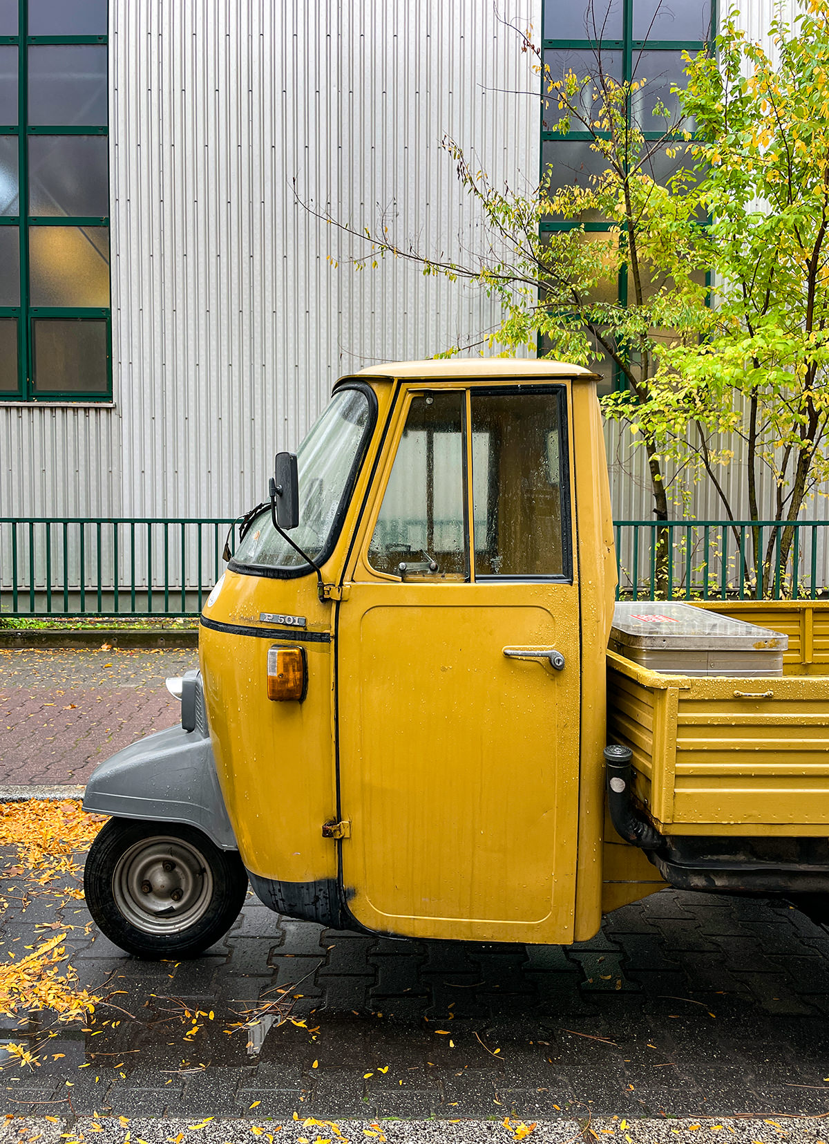 ProCamera iPhone 12 Pro Example Photo Ape