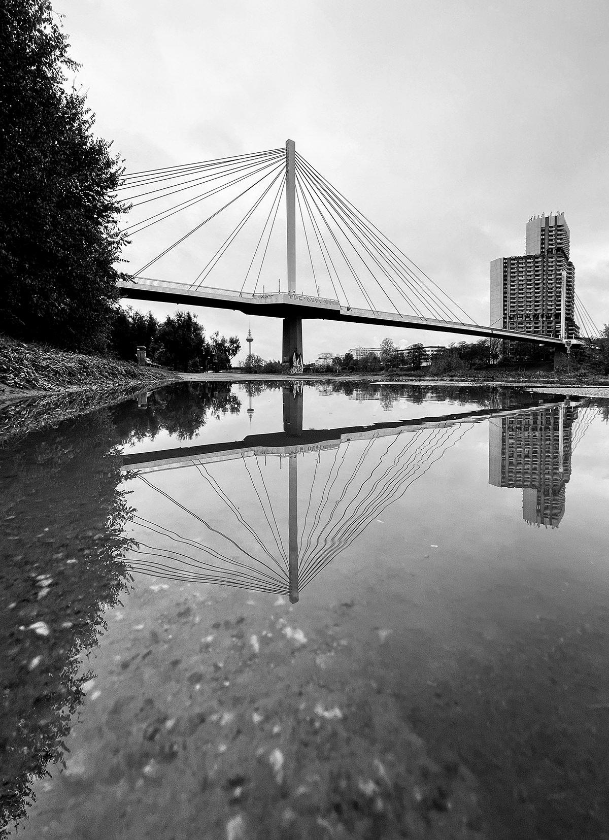 ProCamera iPhone 12 Pro Example Photo Reflection BW