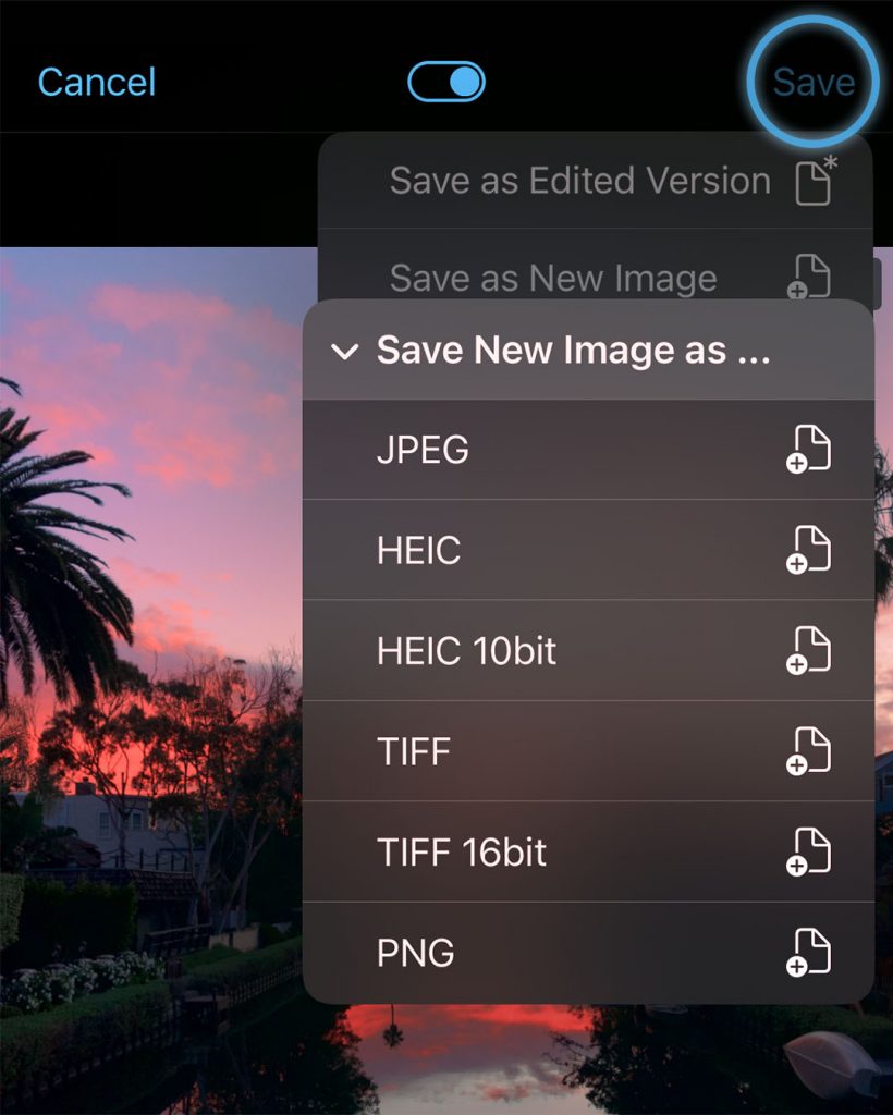 ProCamera Studio Save As Option Menu