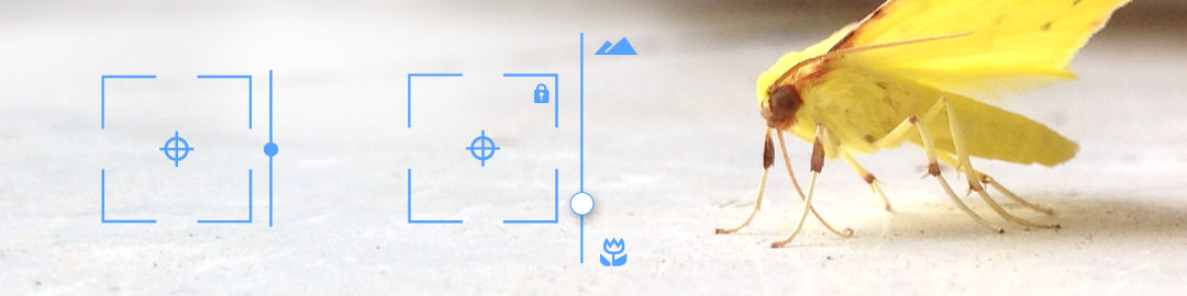 procamera8_61_blog-b_focus2