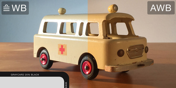 ProCamera_AWB-MWB_GrayCard_example GrayCard