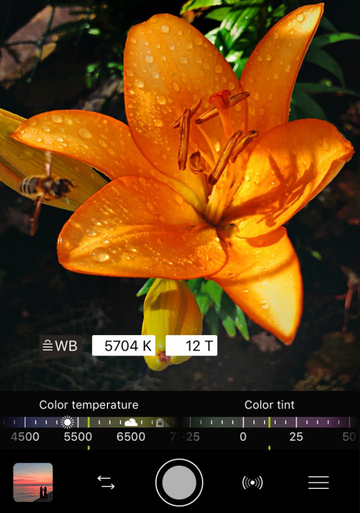 ProCamera_v12.2_WhiteBalance_SplitDials_Screenshot