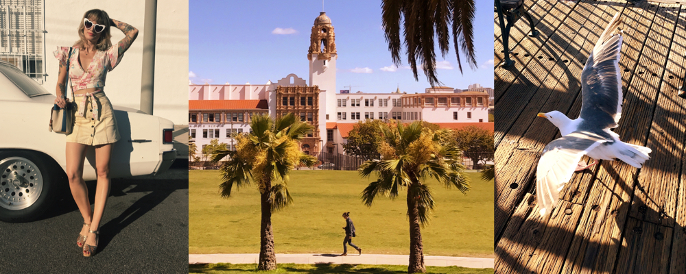 San Fran – Filter Pack