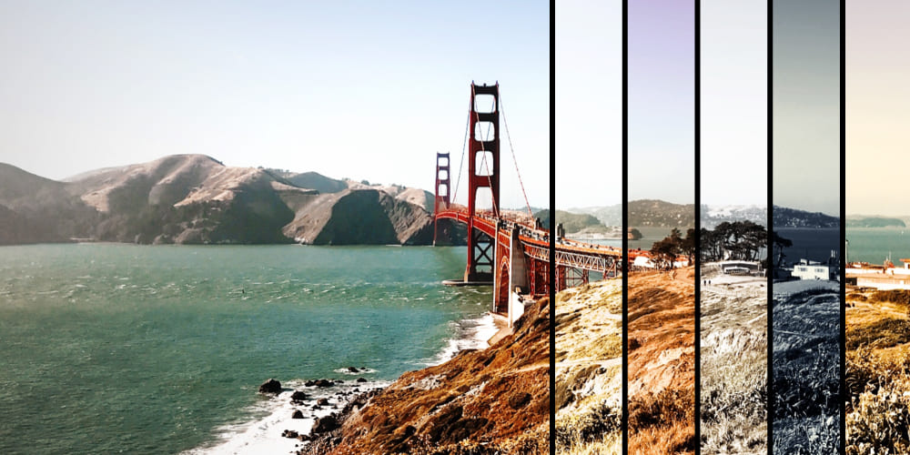 San Fran – Filter Pack