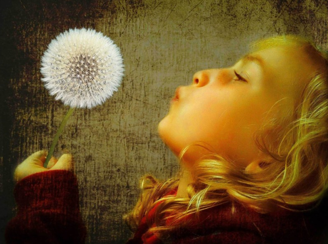 Dandelion Wishes by Tony Docherty