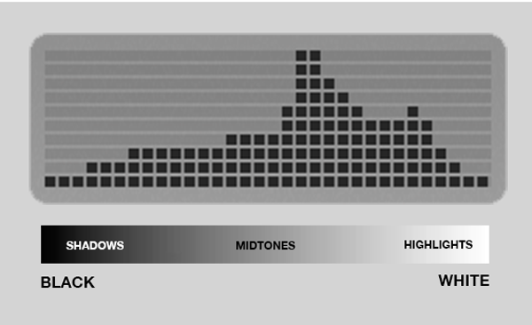 procamera-histogram-example procamera, procameraapp, app histogram, photo app histogram, live iphone histogram, photo app histogram