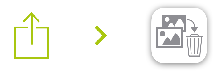 remove_edited_version_action